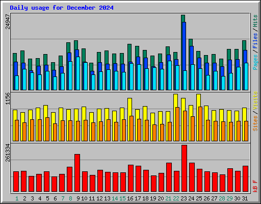 Daily usage for December 2024