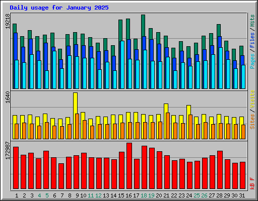 Daily usage for January 2025