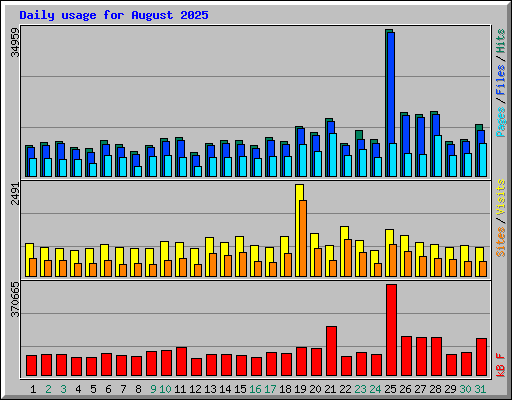 Daily usage for August 2025