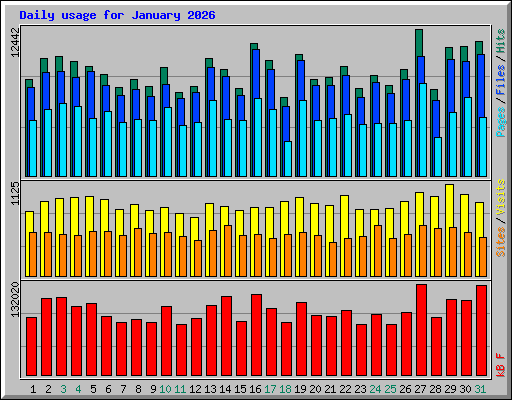 Daily usage for January 2026