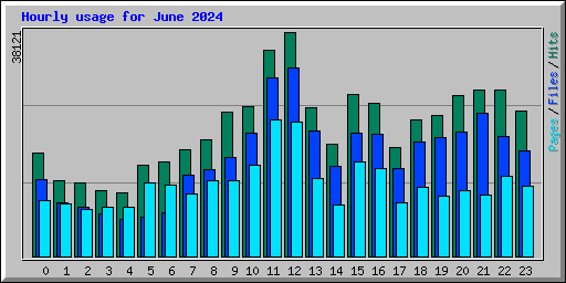 Hourly usage for June 2024