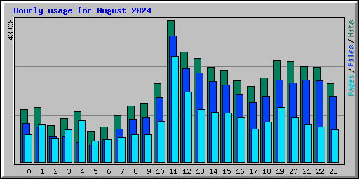 Hourly usage for August 2024