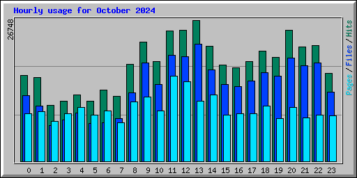 Hourly usage for October 2024