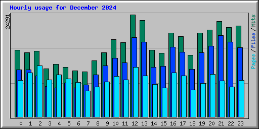 Hourly usage for December 2024
