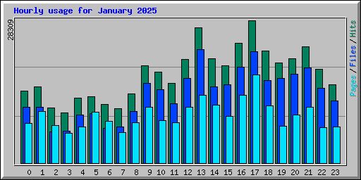 Hourly usage for January 2025