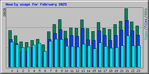 Hourly usage for February 2025
