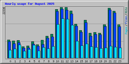 Hourly usage for August 2025