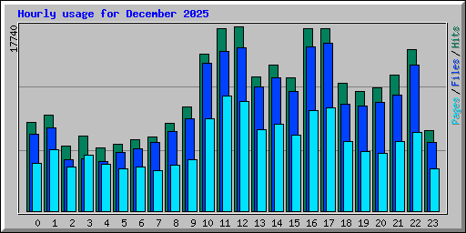 Hourly usage for December 2025