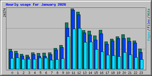 Hourly usage for January 2026