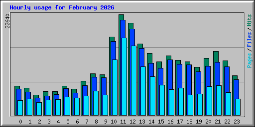 Hourly usage for February 2026